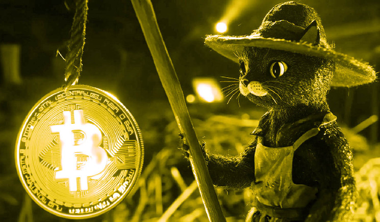 Bitcoin ещё не достиг взрывной фазы: аналитик предсказывает рост до $110 000 и выше $200 000 в ближайшие годы