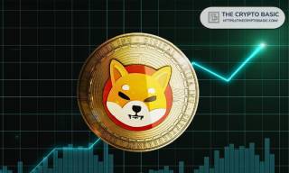 Shiba Inu: Порівняння з 2020 роком та прогнози на 2025 рік