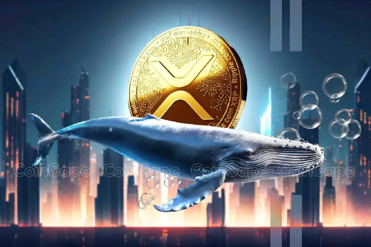 Кити XRP активізувалися: понад 18,7 мільйона монет переведено з Binance до невідомого гаманця.