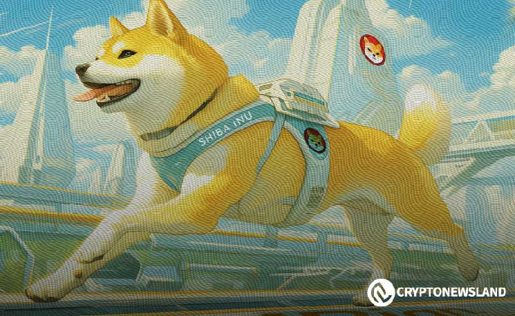 Shiba Inu: Рекордный рост на 39% и прогнозы в диапазоне от $0.000025 до $0.00022 к декабрю 2024 года