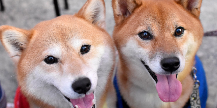 Прыжок Shiba Inu до максимума за 8 месяцев поднимает цену Dogecoin