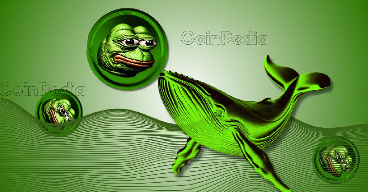 Витік $341,5 мільйона PEPE: чи свідчить це про потенційний бичачий ринок?