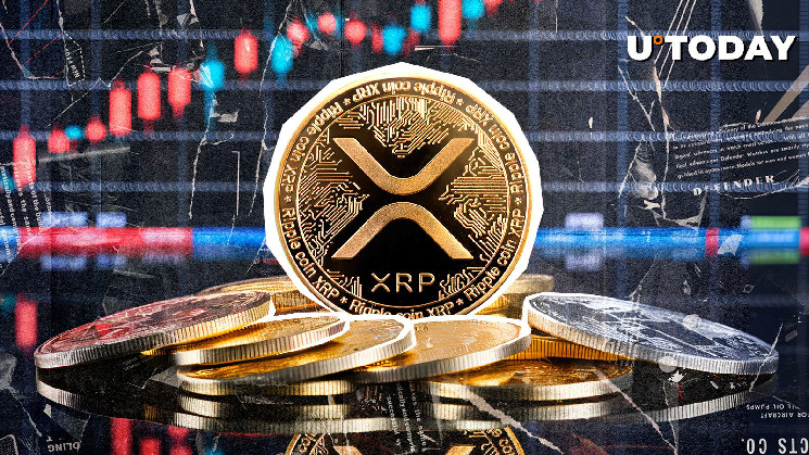 XRP резко растет: активации кошельков увеличились в десять раз на фоне роста цены до 2 долларов