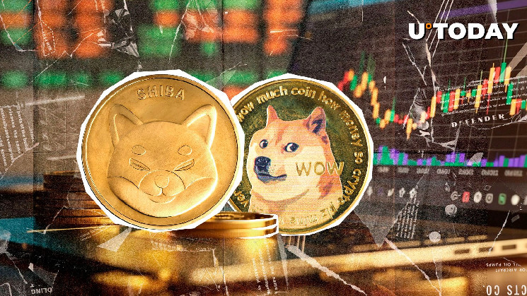SHIB приближается к DOGE: рост на 20% и новый виток соперничества мемных токенов