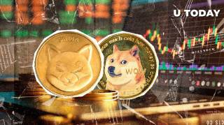 SHIB скорочує відставання від DOGE: вибухове зростання ціни та нові перспективи для Shiba Inu