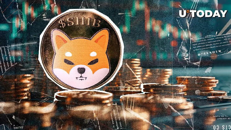 Ноябрьский отчет Shiba Inu: сжигание токенов, рост цен и обновления Shibarium