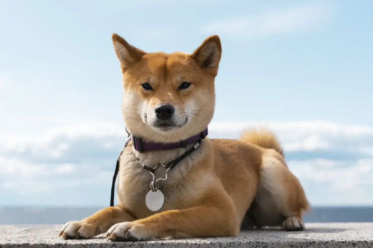 Shiba Inu злетіла вище $0.000030: що призвело до зростання ціни?