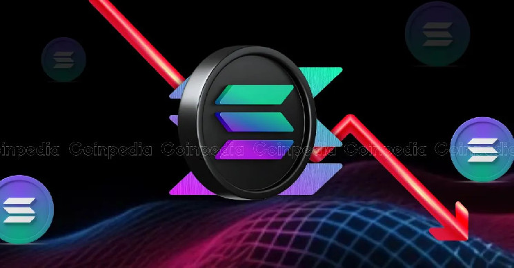 Падение Solana: медвежьи сигналы и поддержка на уровне $200