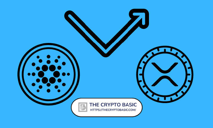 Цены Cardano могут вырасти до $3 при новостях о ETF, считает основатель Crypto Capital Venture Дэн Гамбарделло