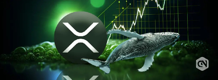 Крупный держатель XRP нарастил активы, а Worksport начинает инвестировать в криптовалюту