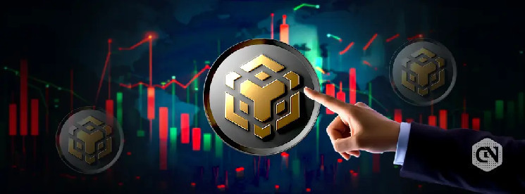 Ралли BNB: сможет ли цена достичь $1000 после биткойна в $100,000?