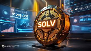 SOLV побил рекорд на аукционе Hyperliquid, проданный за $128,000