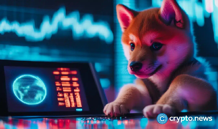 Baby Doge Coin взлетел на 75% после твита Илона Маска