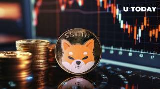 Shiba Inu (SHIB) втрачає пульс, але оживлення неминуче