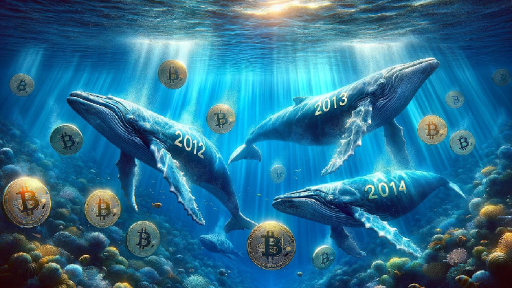 Активація Схованок Bitcoin в 2024: Рух Сплячих Монет.