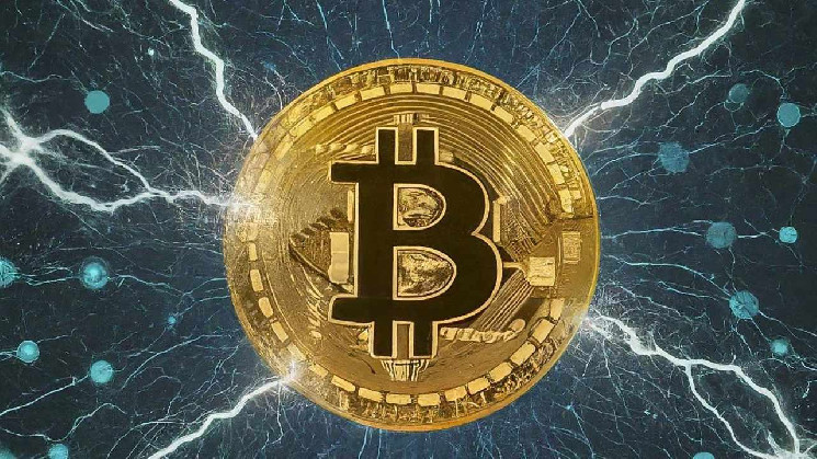 Питер Брандт о биткойне: от средства хранения ценности до бесполезного актива