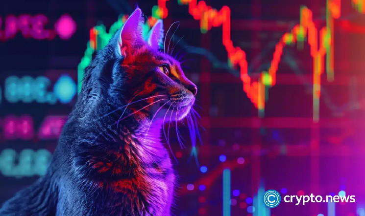 Ціна Popcat впала на 40%: інвестори продають, ринок в очікуванні