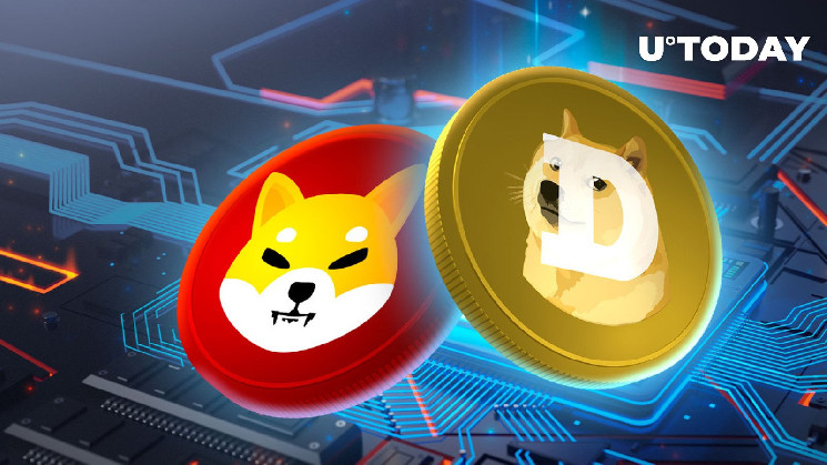 Отрицание создателя Dogecoin участия в проекте Sheboshis