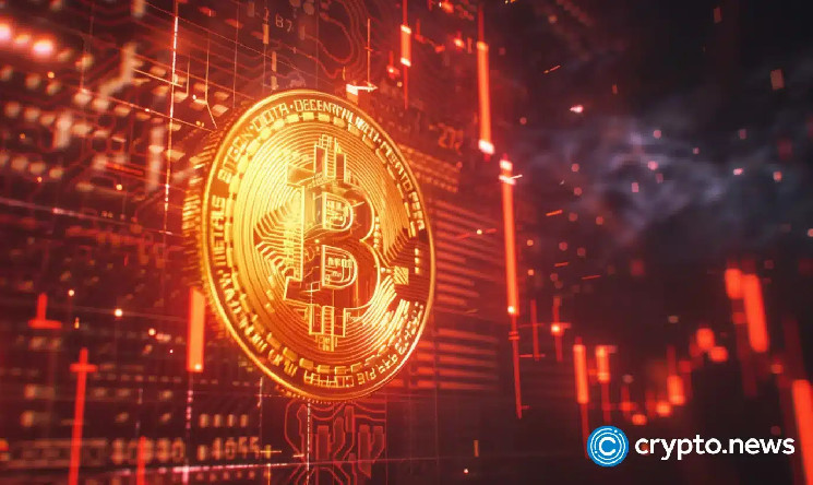 Bitwise предсказывает Bitcoin на $200,000 к 2025 году: возможности для криптоинвесторов