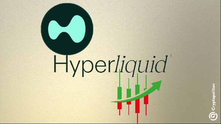HYPE: Как Hyperliquid достигает рекордов и создает шум вокруг airdropов 2024 года