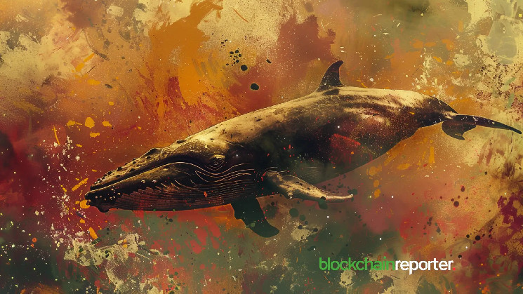 Крипто-кит інвестує $20 млн в Ethereum після падіння ціни