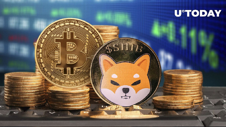 Схожість Bitcoin та Shiba Inu: довгострокові власники