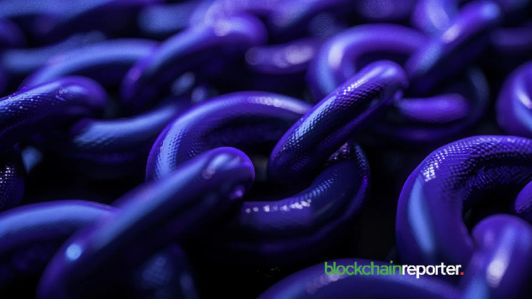 REI Network та Imagen AI: Революція у створенні NFT за допомогою штучного інтелекту в Web3