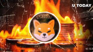 Швидкість спалювання Shiba Inu (SHIB) може вплинути на зростання ціни монети