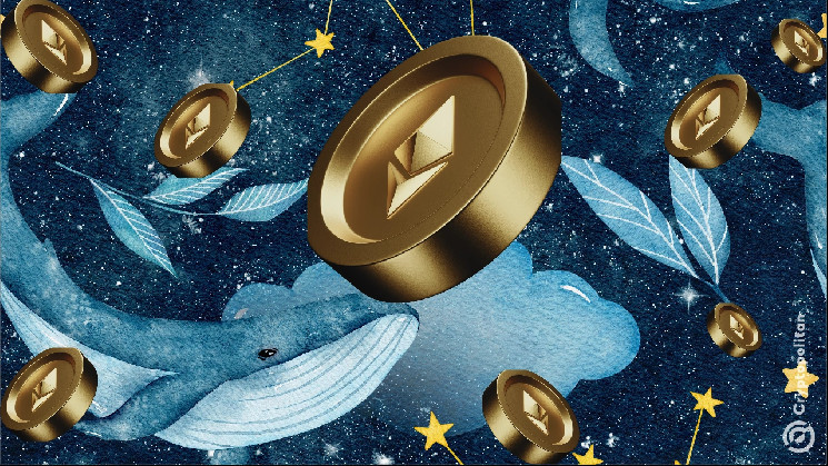 Кити активніше купують ефіріум: ціновий сплеск і зростаючий інтерес інституційних інвесторів