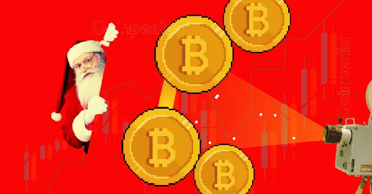 Топ 10 крупнейших владельцев биткойнов в 2024 году: кто среди правительств, бирж и миллиардеров?