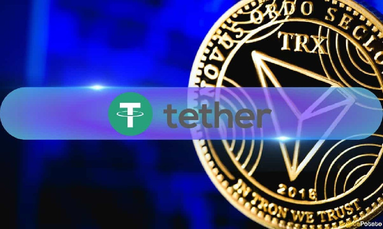 Объем переводов USDT на TRON достиг рекорда в $587,2 миллиарда в ноябре 2024 года
