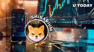 Shibarium на пороге нового рекорда: 669 миллионов транзакций и надежды на рост SHIB