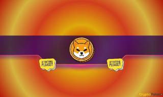 Сообщество Shiba Inu предостерегает об угрозе мошенничества с токеном SHIFU