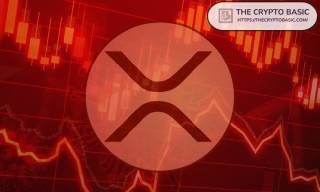 Райан Селкіс жартує про XRP на фоні падіння цін: ринок переживає труднощі.