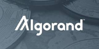 Активність Algorand зростає, але ціна падає: як трейдери можуть з цим впоратися?