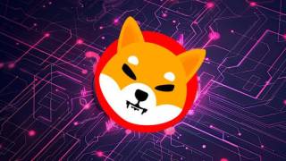 Цена Shiba Inu (SHIB) достигла ключевой поддержки после падения на 40%: что будет дальше?