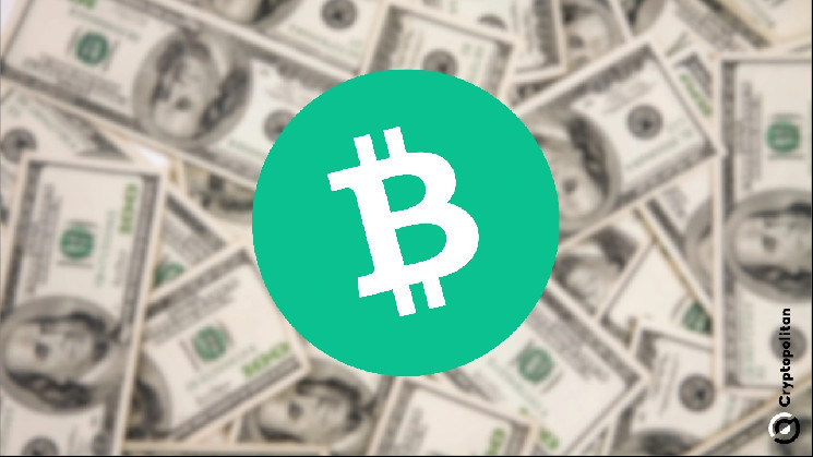 Путешествие биткойна: от P2P наличности до BTC и BCH в мире криптовалют