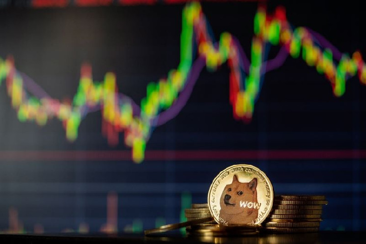 Прогноз цены Dogecoin при превышении 1 млн транзакций в день