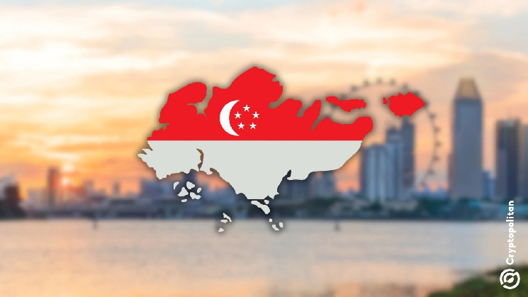 Сингапур обходит Гонконг, выдавая 13 крипто-лицензий и укрепляя лидерство в цифровых активах в 2024 году