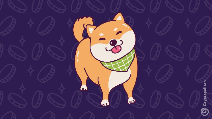 Мемкойны: от развлечений до мейнстрима - как они меняют криптоиндустрию и обходят законы о ценных бумагах