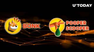 BONK впроваджує функцію PooperScooper для зручного обміну активами