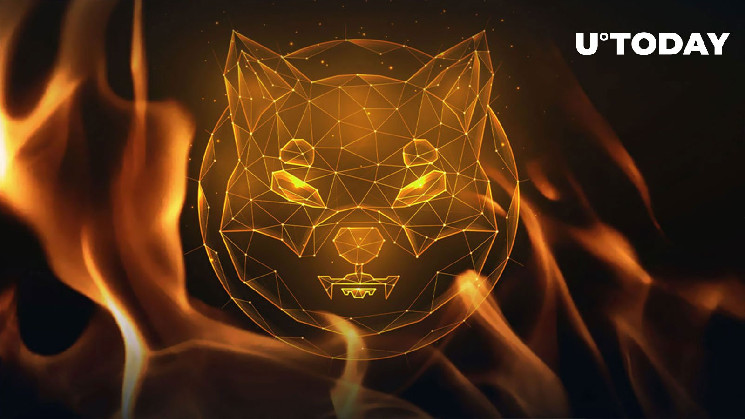 Сжигание SHIB возросло на 298%: курс на удаление нуля