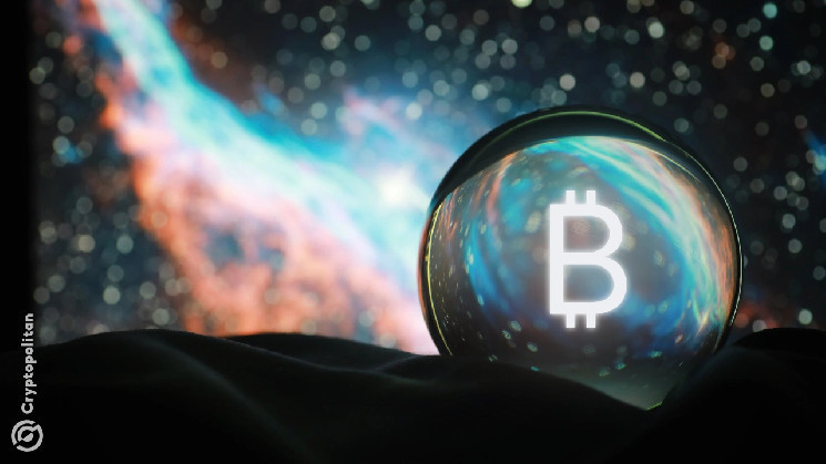 Прогнозы крипторынка на 2024 год: Bitcoin растет, рынок NFT не восстанавливается