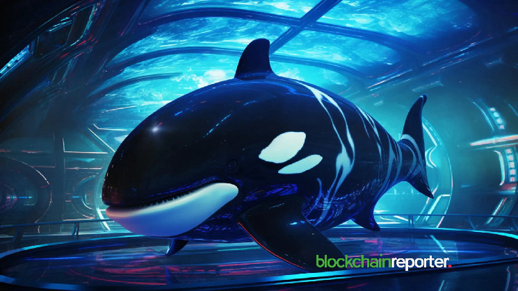 Кити скуповують токени ai16z: новий потенційний бум на ринку криптовалют