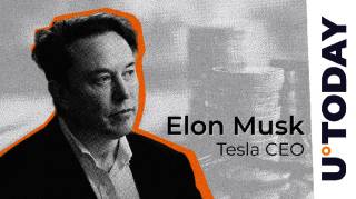 Элон Маск предлагает использовать Dogecoin для оплаты учебы в новом университете TITS