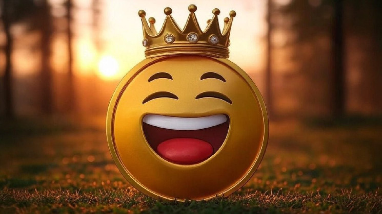 Мем-токены в 2024: юмор стал основой криптоуспеха, 9 из 10 лучших активов связаны с мемами