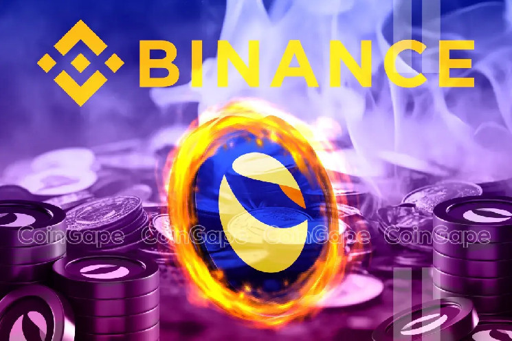 Сжигание LUNC на Binance: возможный рост цены Terra Luna Classic в 2025 году