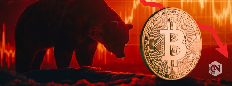 Прогноз медвежьего рынка для Биткойна: аналитики ожидают падения в 2025-2026 годах.