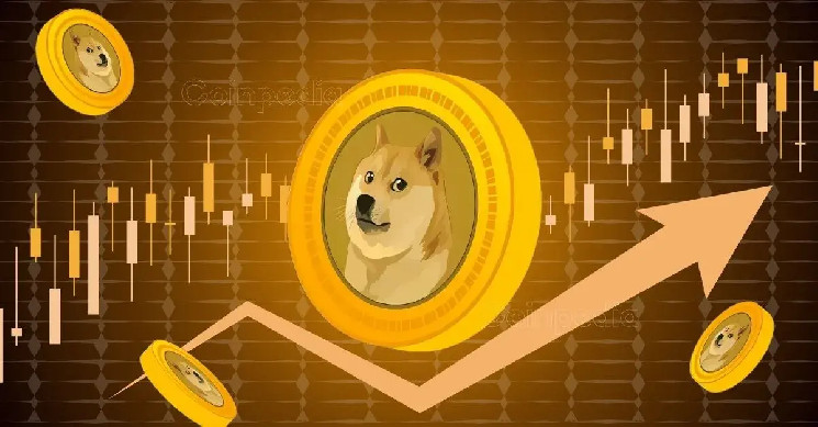 Кити DOGE інвестують $145 мільйонів у Dogecoin: прогноз зростання та ринкова динаміка