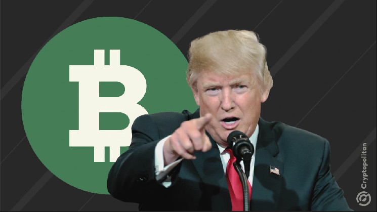 Приговор Трампа: Как это повлияет на будущее Резерва Биткойн?